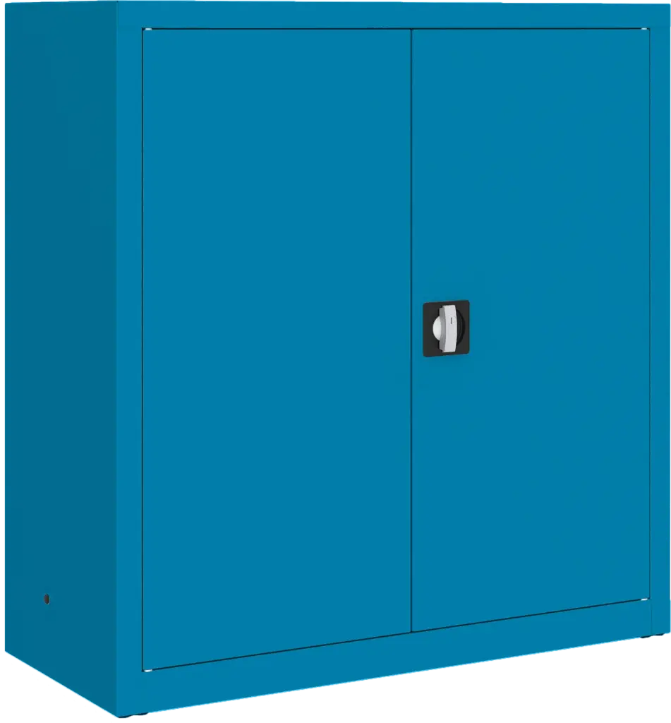 METALEN KAST MET 2 DEUREN, GEHEEL IN SPECIALE KLEUREN 