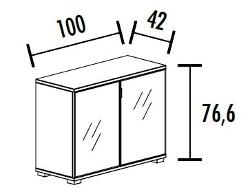 KAST KAST MET GLAZEN DEUREN
