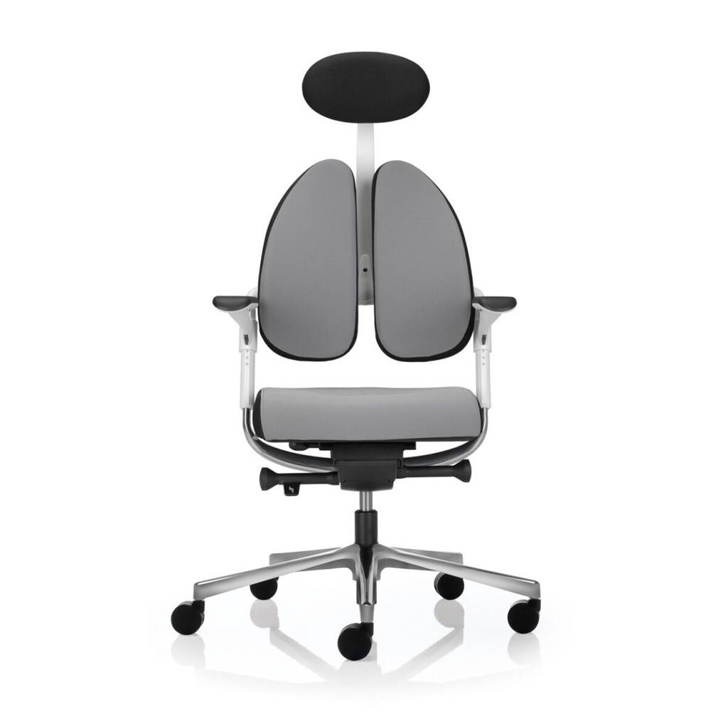 HOOFDSTEUN XENIUM BASIC OF DUOBACK