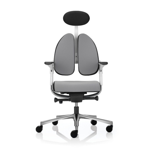 HOOFDSTEUN XENIUM BASIC OF DUOBACK