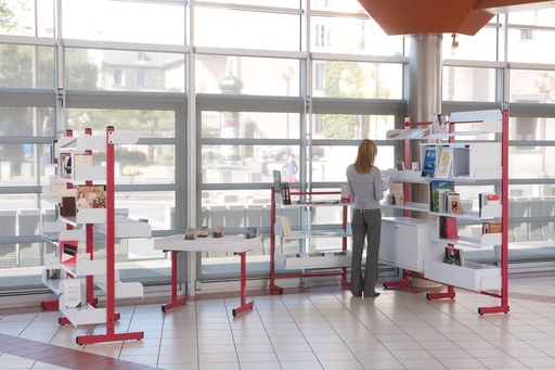 DUBBELE BIBLIOTHEEK REK BOOK- EIND ELEMENT