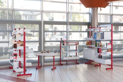 ENKELE BIBLIOTHEEK REK BOOK- BEGIN ELEMENT